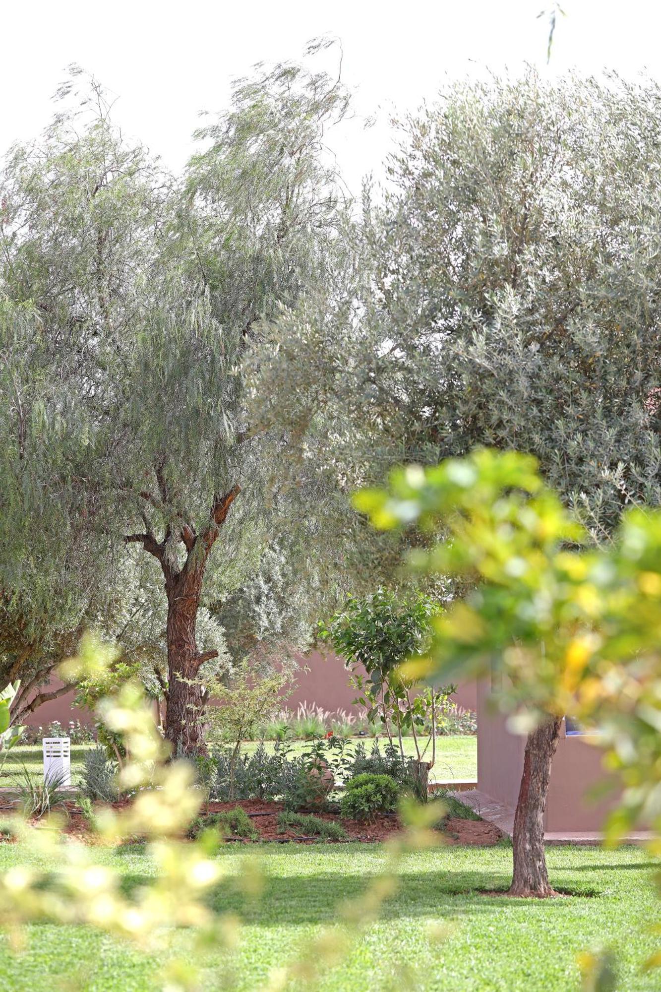 Domaine Du Douar Hotel Chwiter Eksteriør billede